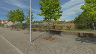 Land for sale in Macedo de Cavaleiros, Portugal — €1,405,000