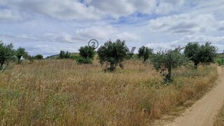 Land for sale in Vidigueira, Portugal — €40,000