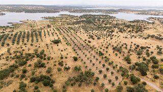 Land for sale in Alandroal, Portugal — €35,000