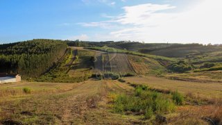 Terreno em Bombarral