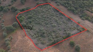 Terreno em Vidigueira