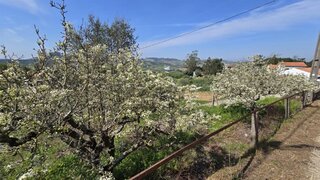 Land for sale in Mafra, Portugal — €63,000
