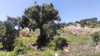 Land for sale in Mafra, Portugal — €120,000