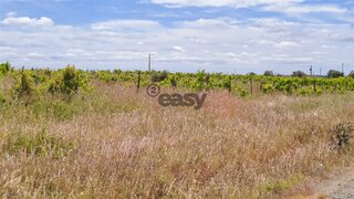 Land for sale in Vidigueira, Portugal — €89,000