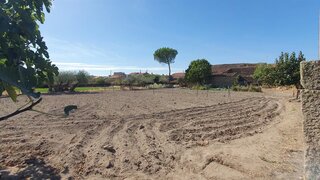 Terreno em Figueira de Castelo Rodrigo
