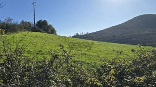 Land for sale in Mafra, Portugal — €1,715,000