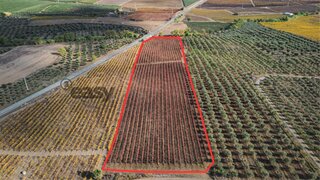 Land for sale in Vidigueira, Portugal — €60,000