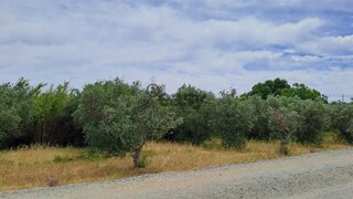 Land for sale in Vidigueira, Portugal — €22,000