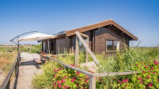 Terreno de 370 474 m² em Aveiro