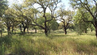 Land for sale in Benavente, Portugal — €195,000