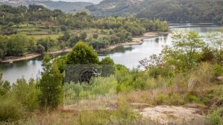 Land for sale in Penafiel, Portugal