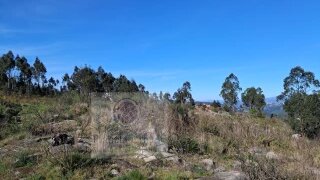 Land for sale in Penafiel, Portugal