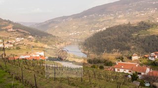Terreno em Mesão Frio
