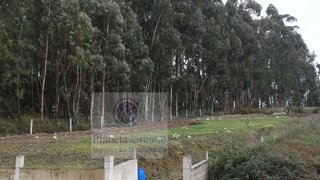 Land for sale in Paredes, Portugal — €55,000
