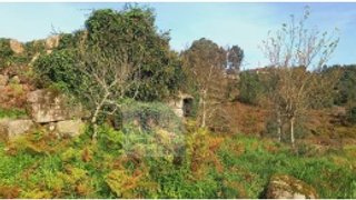 Land for sale in Penafiel, Portugal