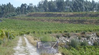 Land for sale in Marco de Canaveses, Portugal — €270,000