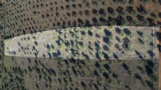 Terreno em Elvas