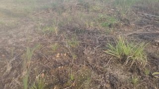 Land for sale in Póvoa de Varzim, Portugal — €72,500