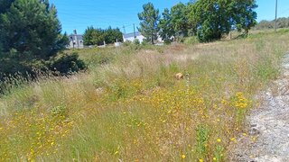 Land for sale in Palmela, Portugal — €140,000