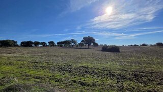 Land for sale in Montemor-o-Novo, Portugal — €495,000