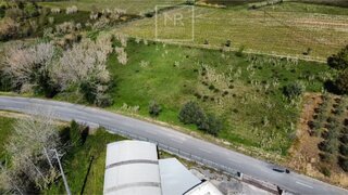 Land for sale in Anadia, Portugal — €73,000
