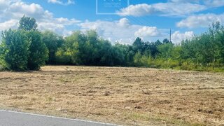 Land for sale in Anadia, Portugal — €38,500