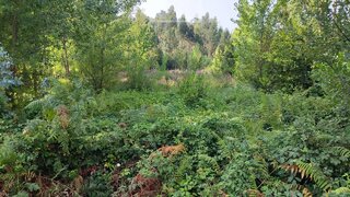Terreno em Vagos
