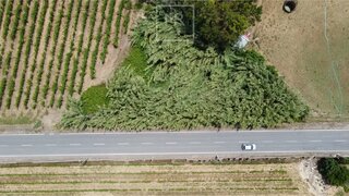 Land for sale in Anadia, Portugal — €29,000