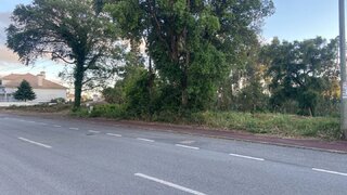 Land for sale in Anadia, Portugal — €50,000