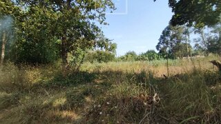 Terreno em Vagos