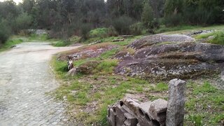 Land for sale in Paredes, Portugal — €27,500