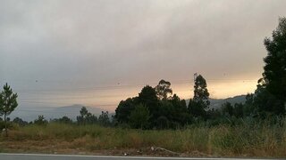 Land for sale in Penafiel, Portugal — €265,500