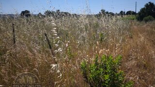 Land for sale in Palmela, Portugal — €60,000