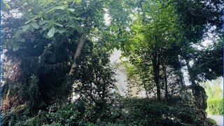 casafari-bild