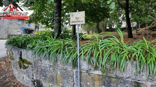 Land for sale in Santo Tirso, Portugal — €55,000