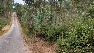 Land for sale in Caldas da Rainha, Portugal — €90,000