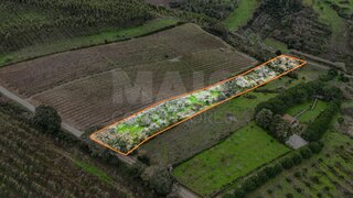 Land · 5,920 m² · €12,000