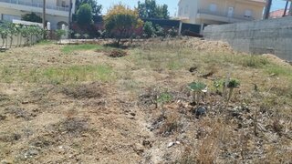 Terreno · 280 m² · 75 000 €