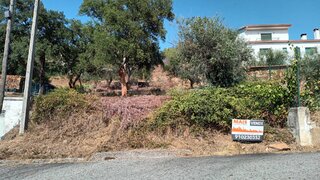 Terreno em Castelo Branco · 8000 m² · 23 500 €