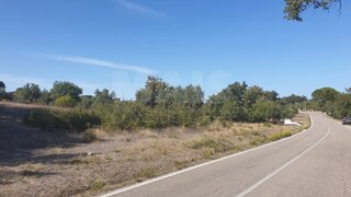 Land for sale in Torres Novas, Portugal — €15,500