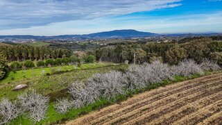 Land for sale in Alenquer, Portugal — €12,000