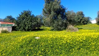 Land for sale in Olhão, Portugal — €85,000
