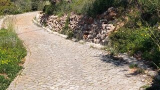 Terreno de 5000 m² em Faro