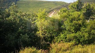 Land for sale in Loures, Portugal — €36,500
