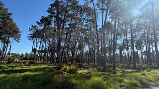 Land for sale in Almada, Portugal — €995,000