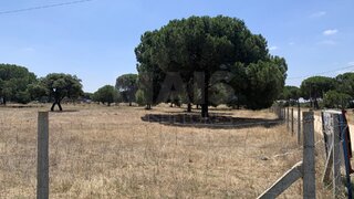 Land for sale in Benavente, Portugal — €140,000