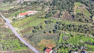 Terreno · 10 000 m² · 175 000 €
