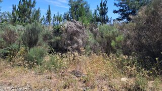 Land for sale in Fundão, Portugal — €150,000