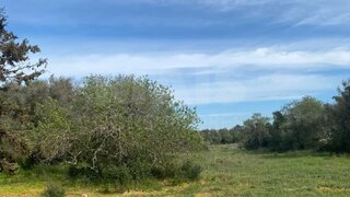 Land for sale in Albufeira, Portugal — €1,750,000