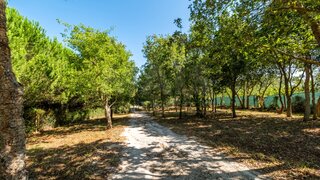 Land for sale in Caldas da Rainha, Portugal — €250,000